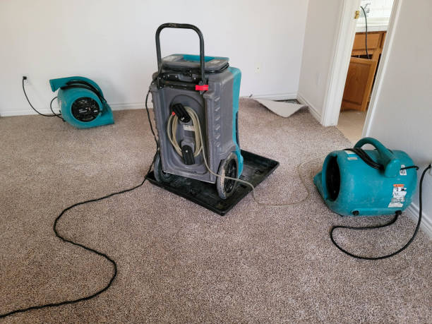 Best Water damage restoration near me  in High Ridge, MO