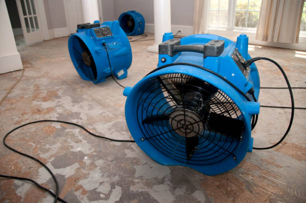 Best Flood damage cleanup  in High Ridge, MO