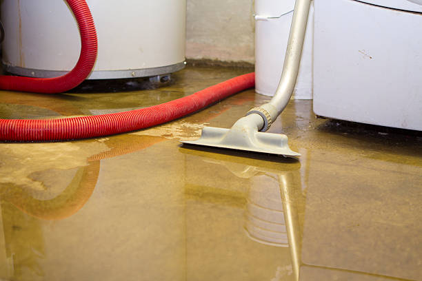 Best 24/7 water damage repair  in High Ridge, MO