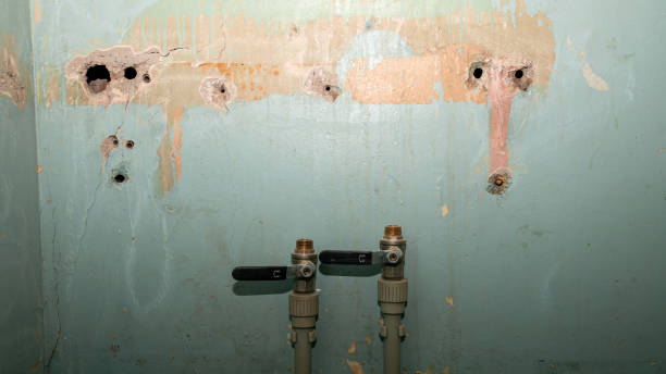 Best Flooded house restoration  in High Ridge, MO