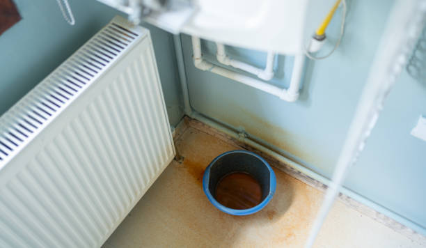 Best Flood restoration services  in High Ridge, MO