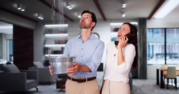 Best Water damage restoration company  in High Ridge, MO