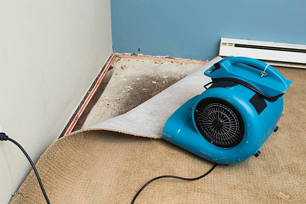 Best Basement water damage restoration  in High Ridge, MO